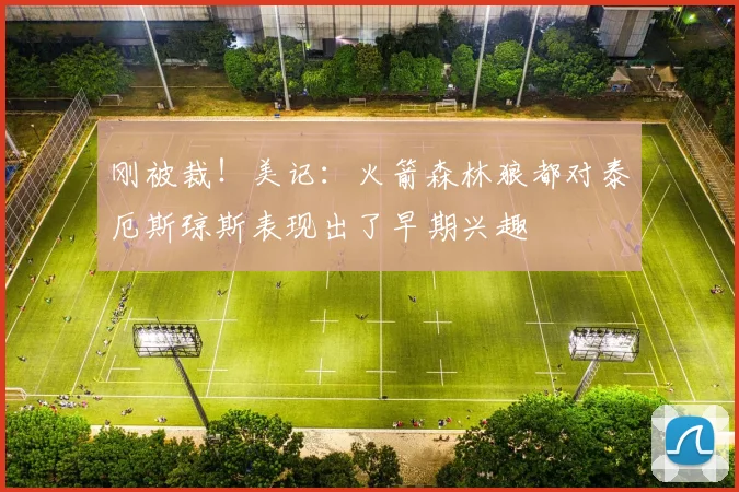 刚被裁！美记：火箭森林狼都对泰厄斯琼斯表现出了早期兴趣