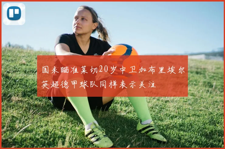 国米瞄准莱切20岁中卫加布里埃尔英超德甲球队同样表示关注
