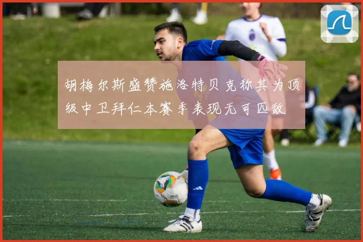 胡梅尔斯盛赞施洛特贝克称其为顶级中卫拜仁本赛季表现无可匹敌